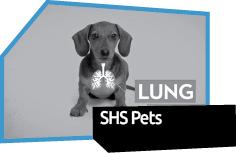 Pets & SHS