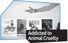 Addicted to Animal Cruelty