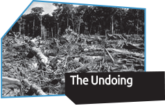 The Undoing